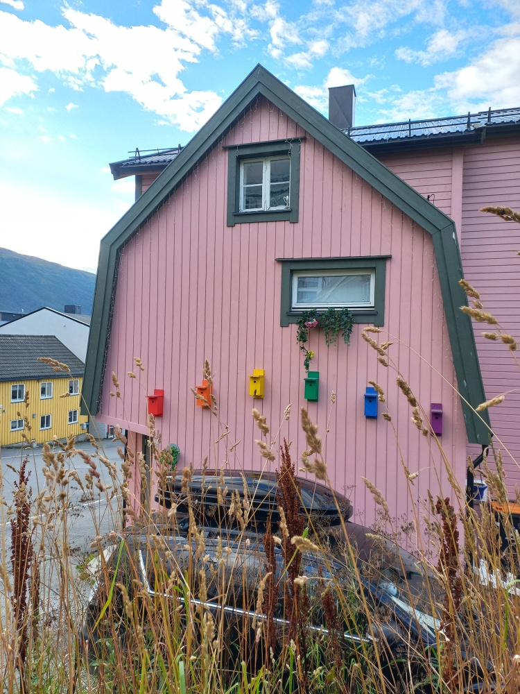 Маленькие садики города Тромсё